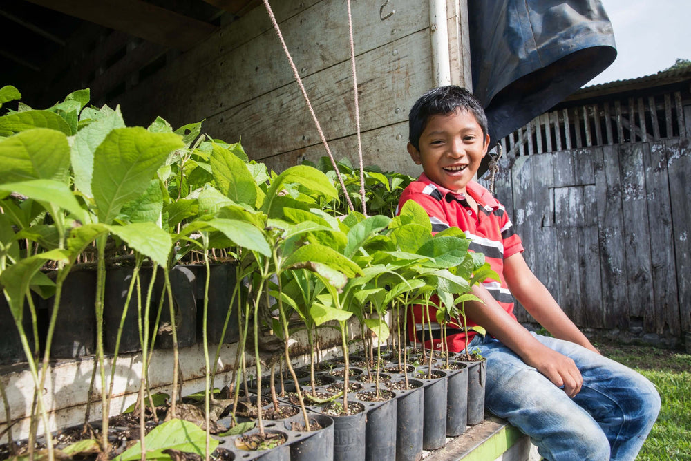 plant a tree, reforestation, support farmer communities