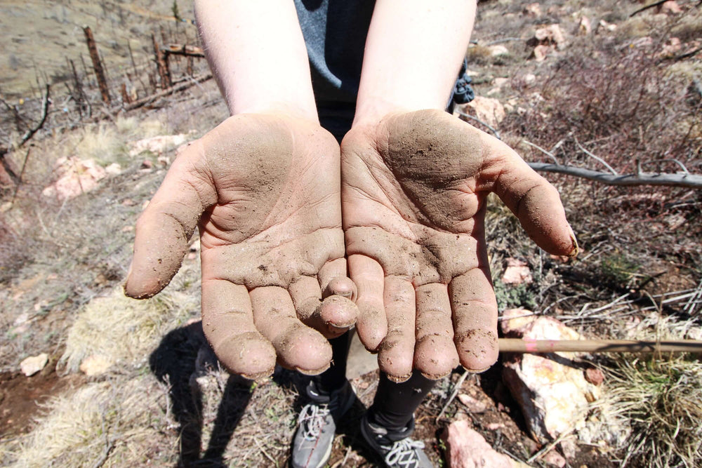 plant a tree, reforestation, support farmer communities