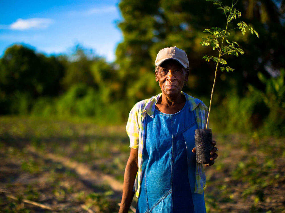 plant a tree, reforestation, support farmer communities